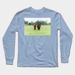 Two horses on pasture looking at camera Long Sleeve T-Shirt